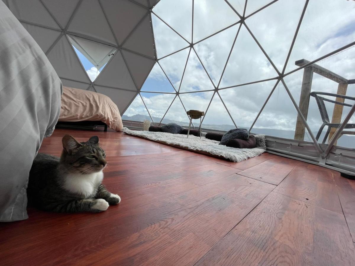 הוילה גוואטביטה Glamping Wayra מראה חיצוני תמונה